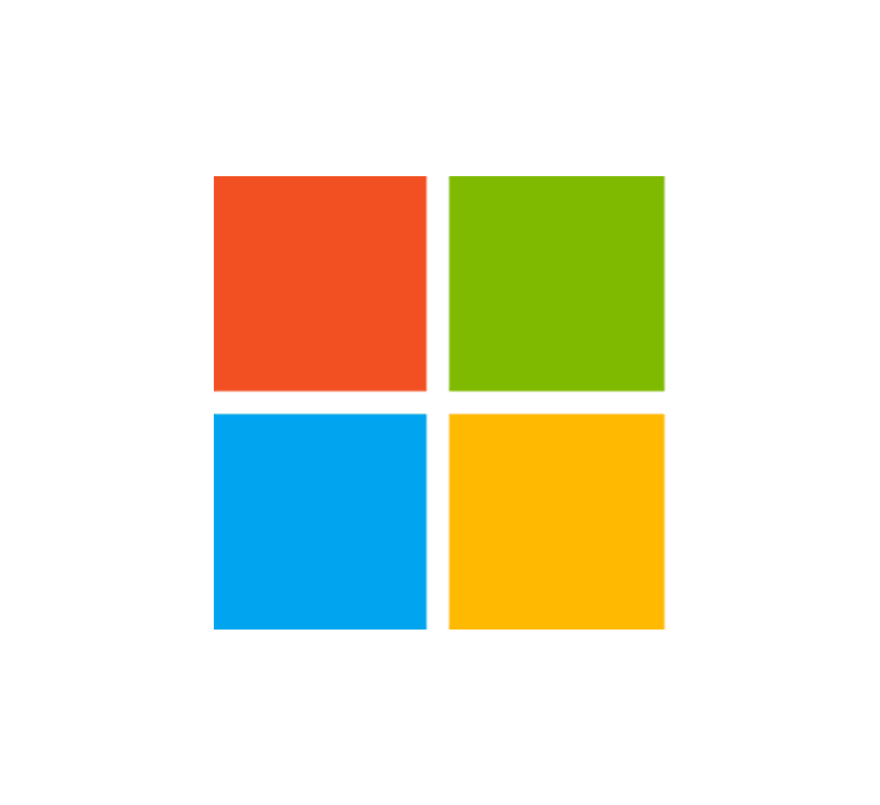 Microsoft partner